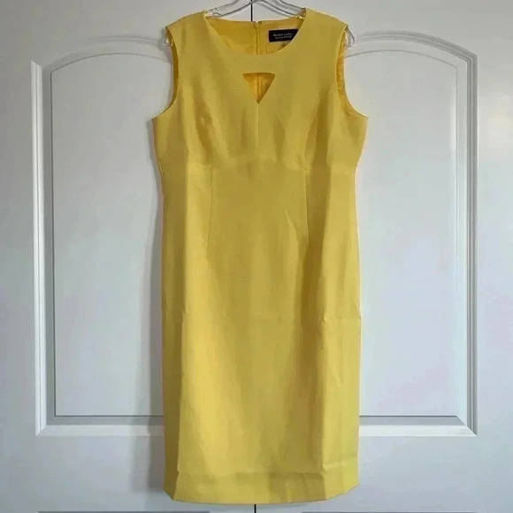 Black Label by Evan-Picone Sleeveless Sheath Dress - Picture 3 of 11